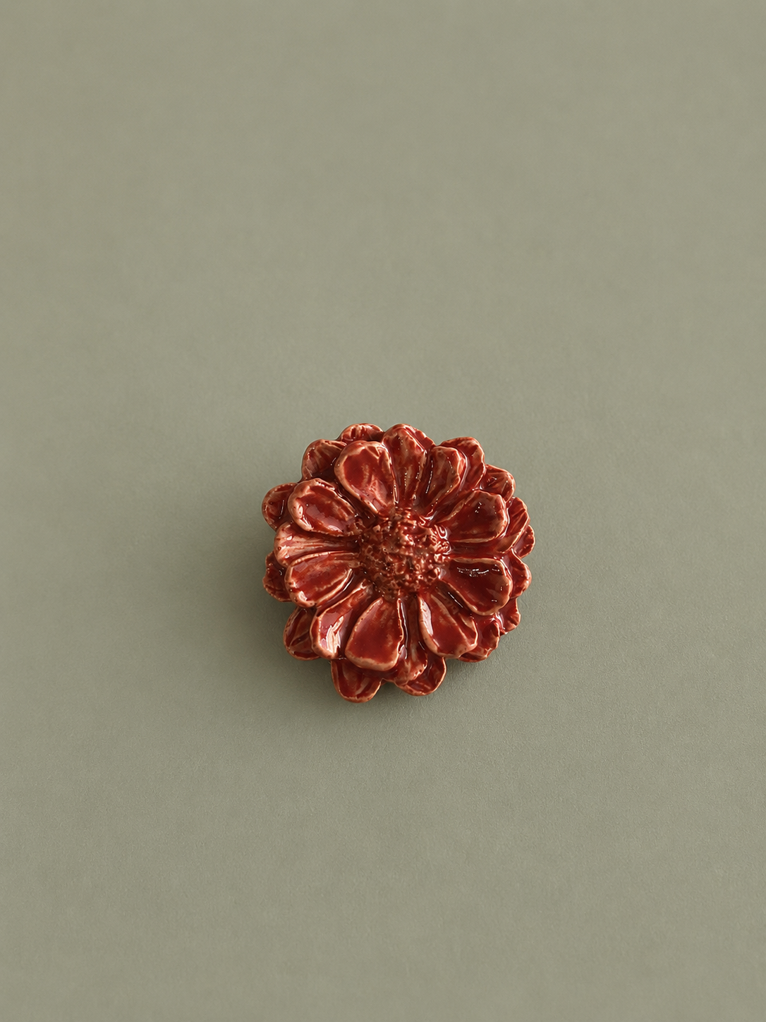 ZINNIA