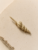 TRITÓN