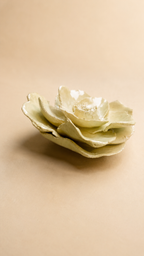 BROCHE CAMELIA