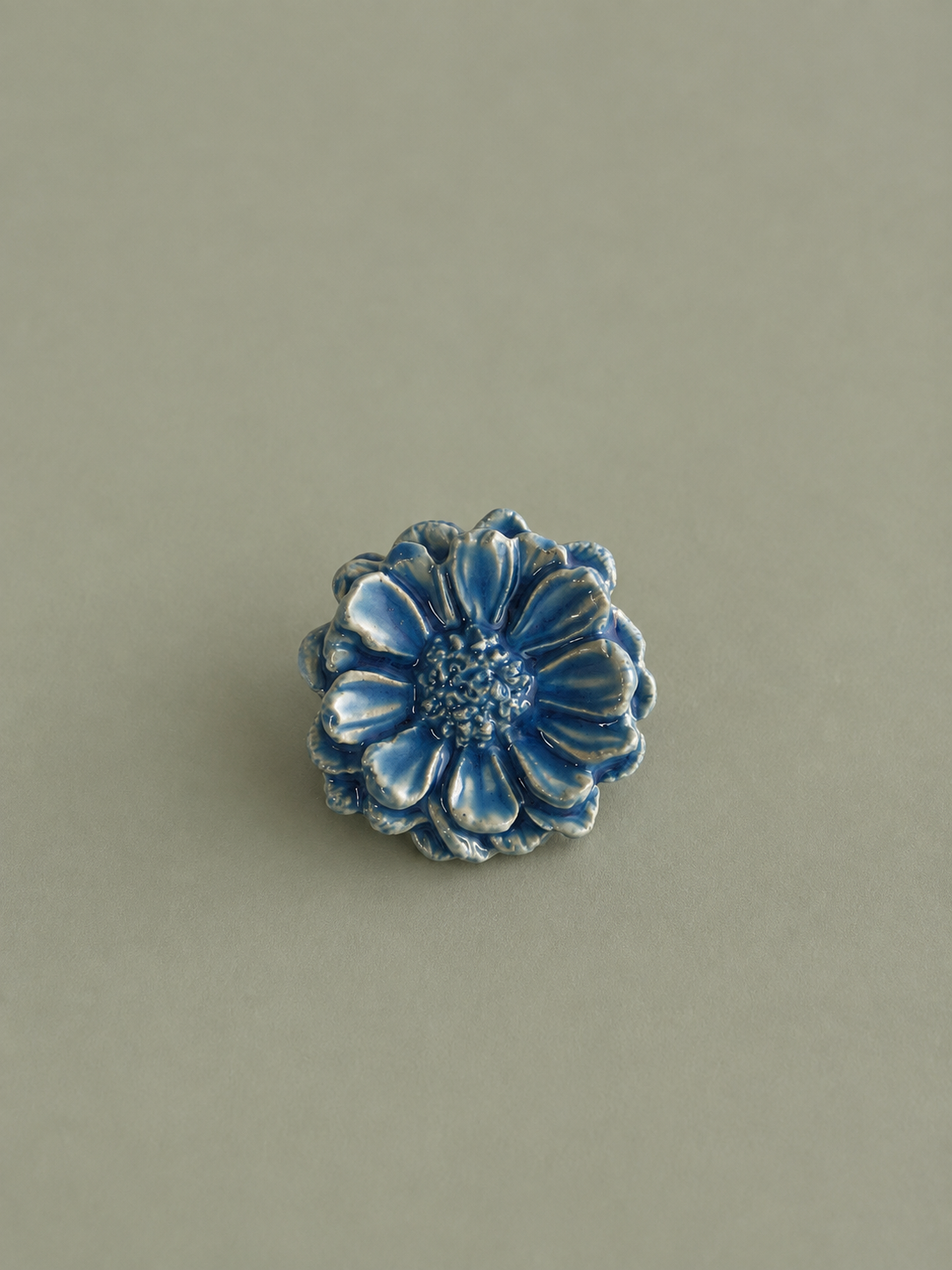 ZINNIA