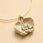 ORQUÍDEA