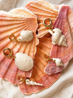 colleccion completa de charms de conchas de marea