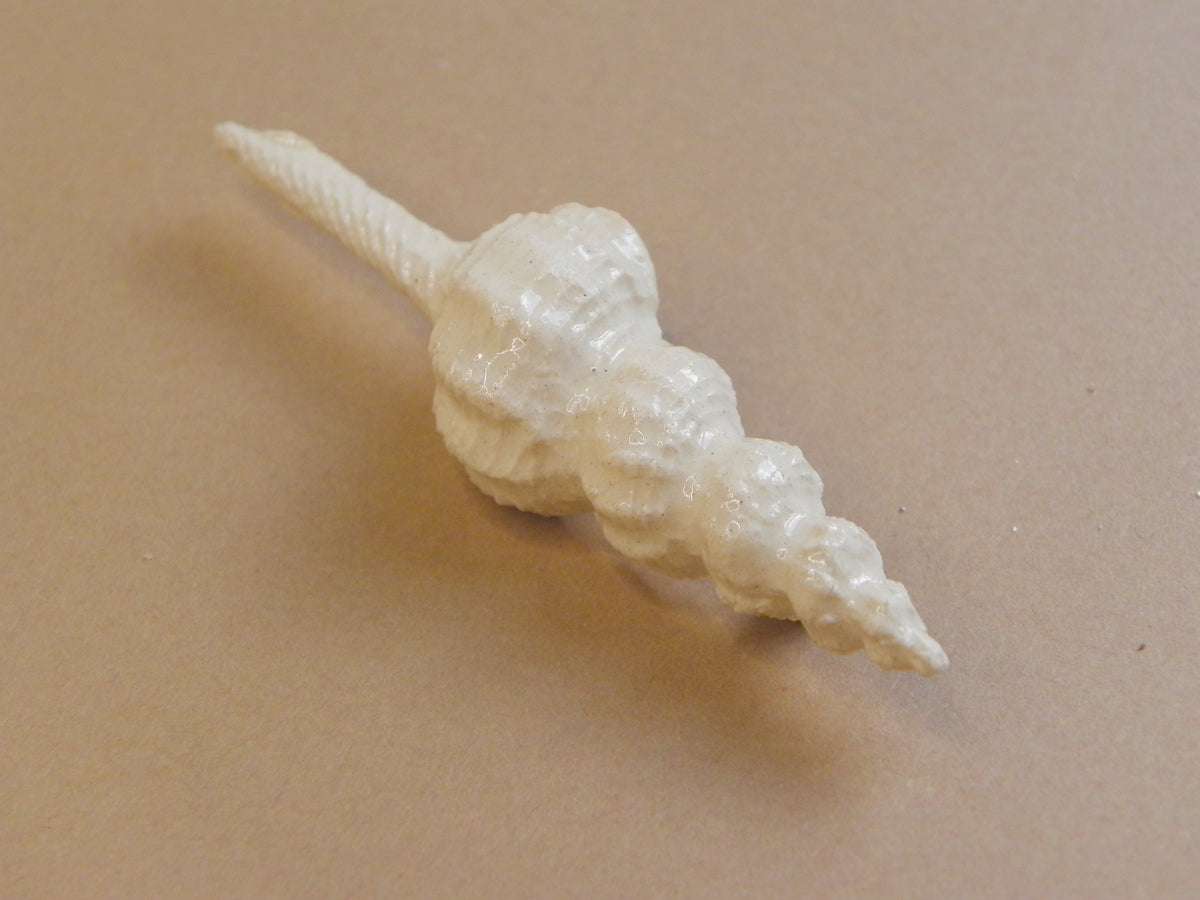 TRITÓN