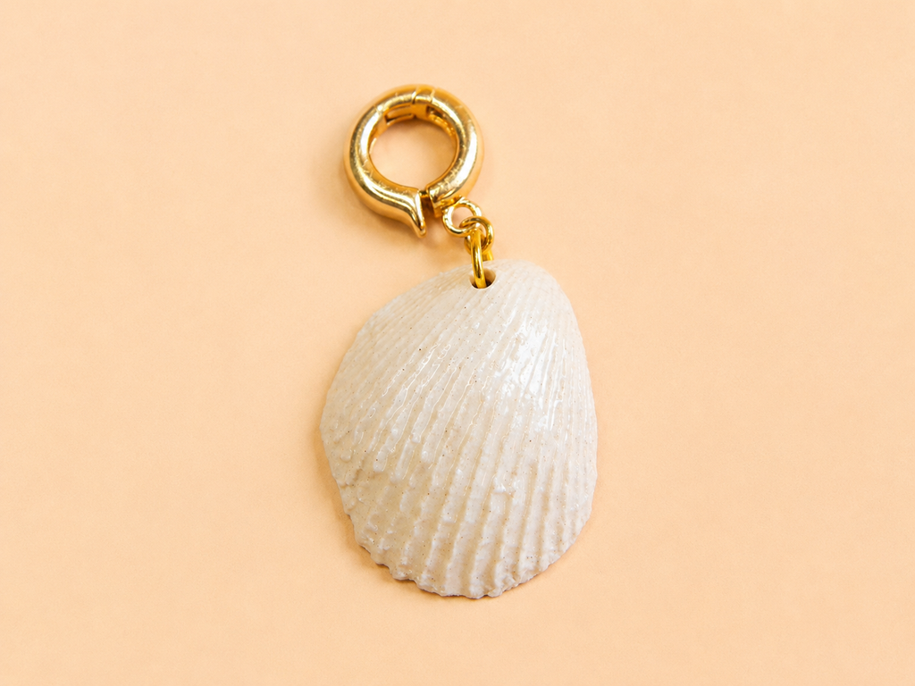 NACRA · CHARM