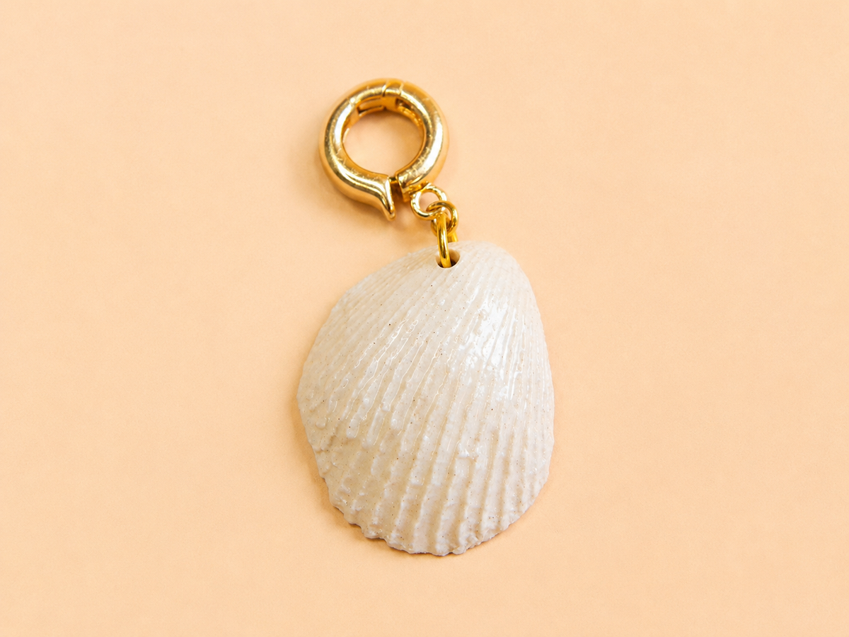NACRA · CHARM