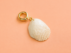 NACRA · CHARM