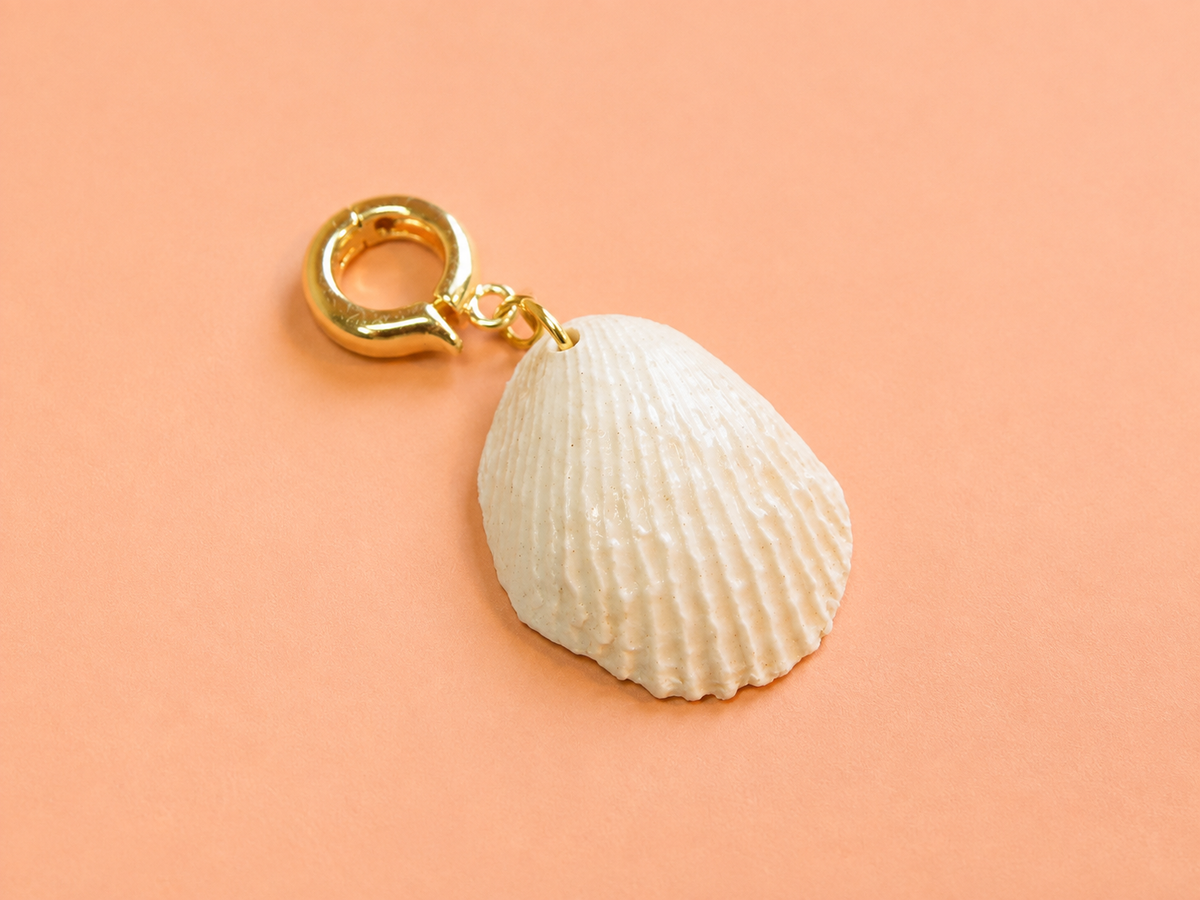 NACRA · CHARM